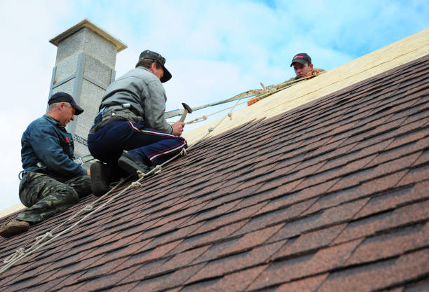 Best Shingle Roofing Installation  in Panaca, NV